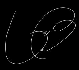 Yun Si Yun’s signature